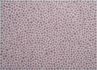 H2303 VIBRAZIONI IX.jpg