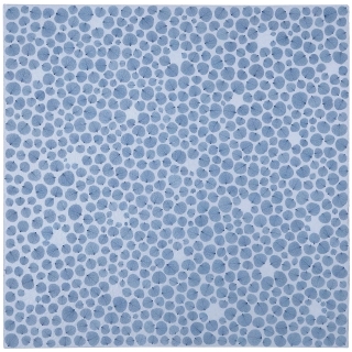 H2710 VARIAZIONI VI.jpg