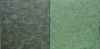 T1108 COSTRUZIONE IN VERDE.jpg