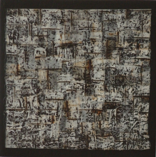 E0701 EQUISETUM Ia.jpg