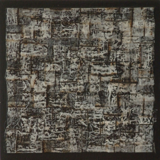 E0702 EQUISETUM IIc.jpg