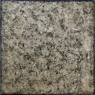 E1405 EQUI-TERRA XI (6).jpg